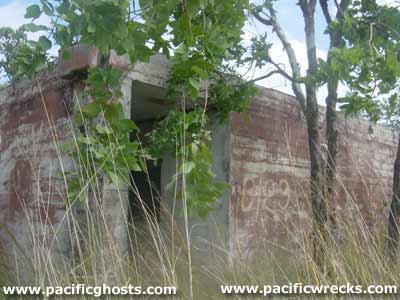 Click For Enlargement