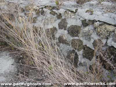 Click For Enlargement