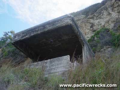 Click For Enlargement