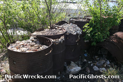 Click For Enlargement