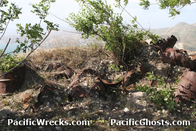 Click For Enlargement