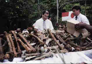 Click For Enlargement