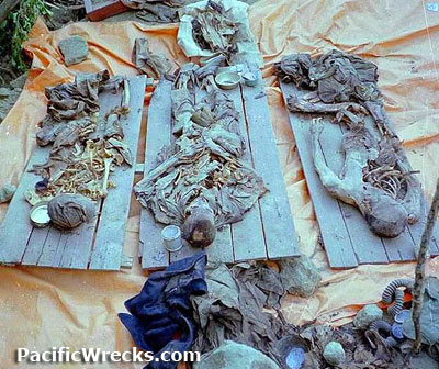 Click For Enlargement