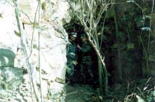 Click For Enlargement