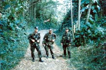 Click For Enlargement