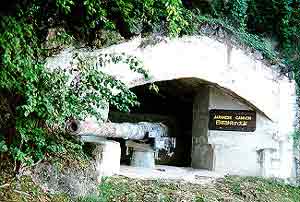 Click For Enlargement