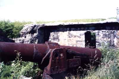 Click For Enlargement