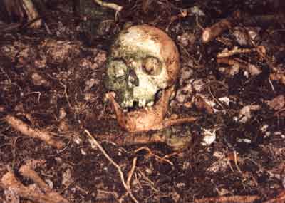 Click For Enlargement