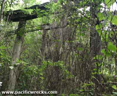 Click For Enlargement