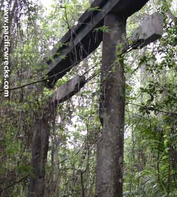 Click For Enlargement