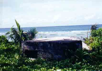 Click For Enlargement