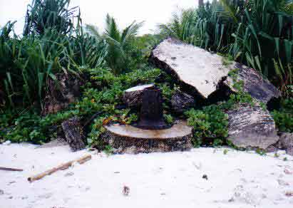 Click For Enlargement