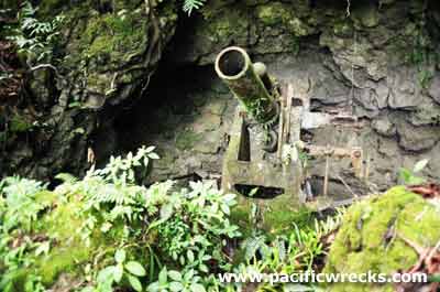 Click For Enlargement