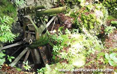 Click For Enlargement