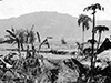 Click For Enlargement