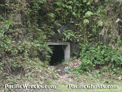 Click For Enlargement