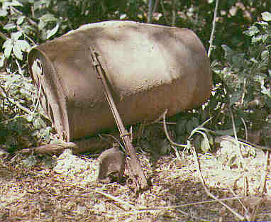 Click For Enlargement