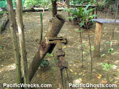 Click For Enlargement