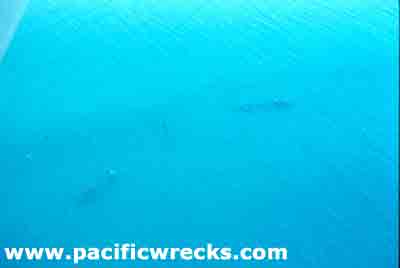 Click For Enlargement