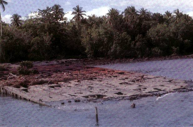 Click For Enlargement