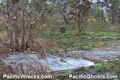 Click For Enlargement