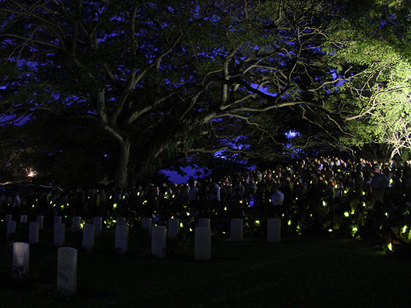 Click For Enlargement