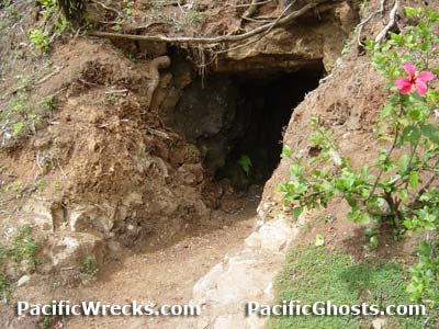 Click For Enlargement