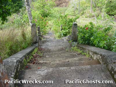 Click For Enlargement