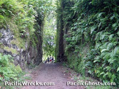 Click For Enlargement