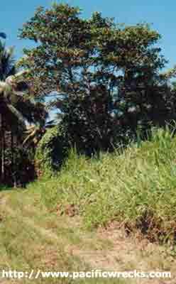 Click For Enlargement