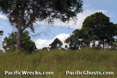 Click For Enlargement