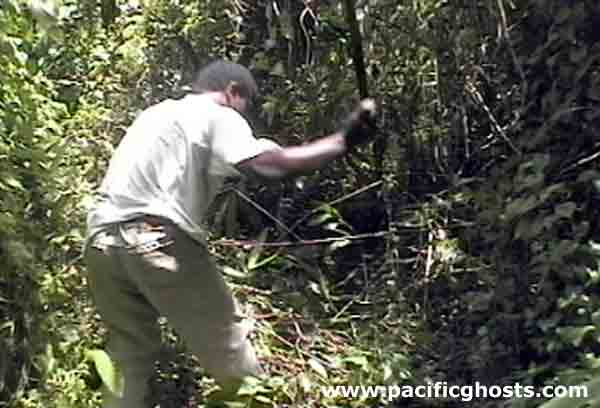 Click For Enlargement