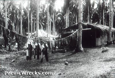 Click For Enlargement