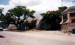 Click For Enlargement