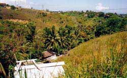 Click For Enlargement