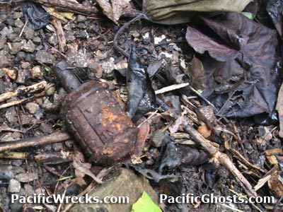 Click For Enlargement