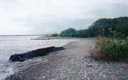 Click For Enlargement