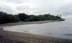 Click For Enlargement