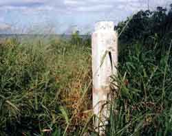 Click For Enlargement