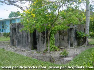 Click For Enlargement