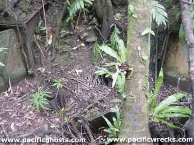 Click For Enlargement