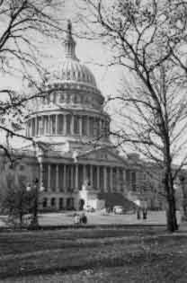 Click For Enlargement