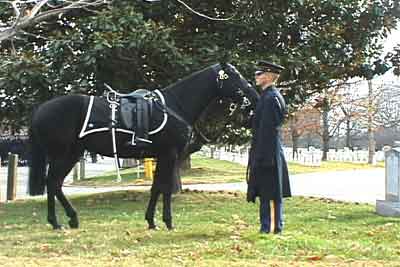 Click For Enlargement