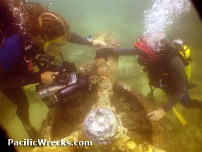 Click For Enlargement