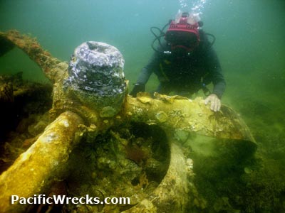 Click For Enlargement