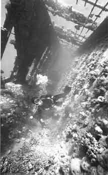 Click For Enlargement