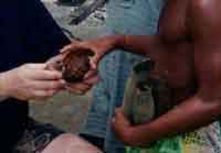 Click For Enlargement