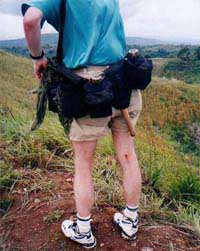 Click For Enlargement