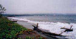 Kukum Beach