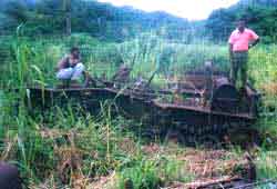 Click For Enlargement